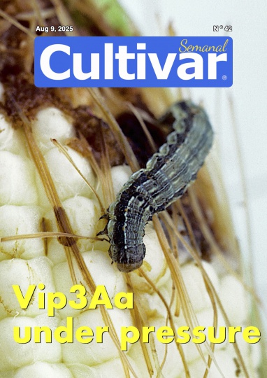Cultivar Semanal (wöchentlich) 42