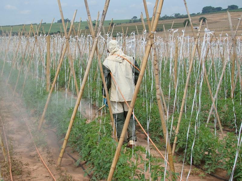 A convite do Governo da França, pesquisador apresenta estudos sobre exposição do trabalhador rural a agroquímicos