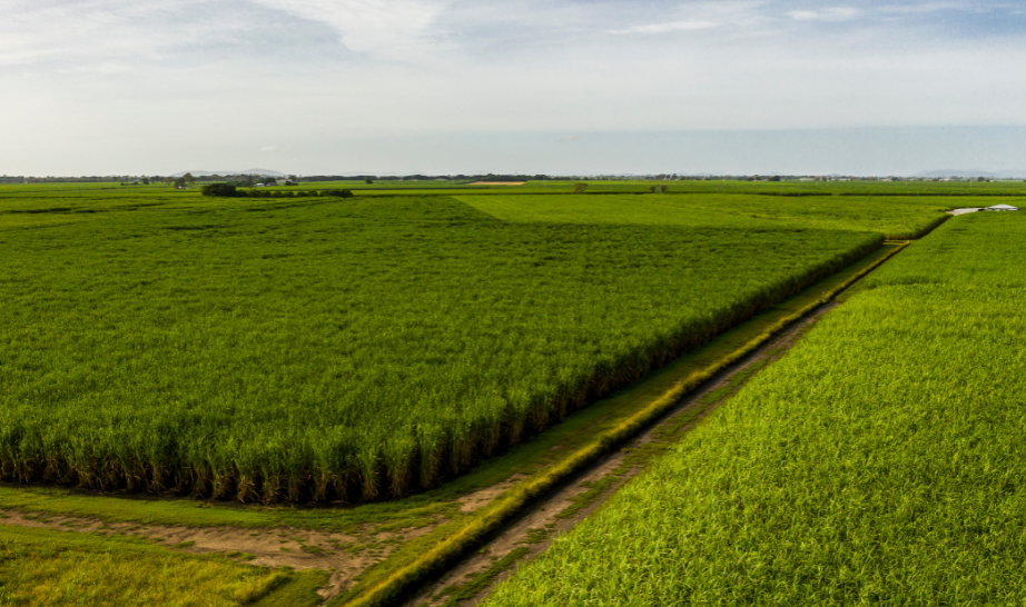 Complexo de micronutrientes da Ubyfol contribui na produtividade do canavial