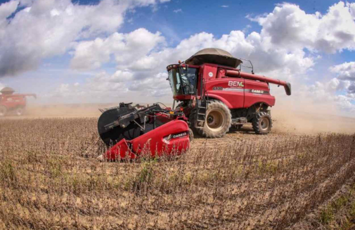 Prazo para semear soja no Pará é prorrogado pelo Ministério da Agricultura e Pecuária