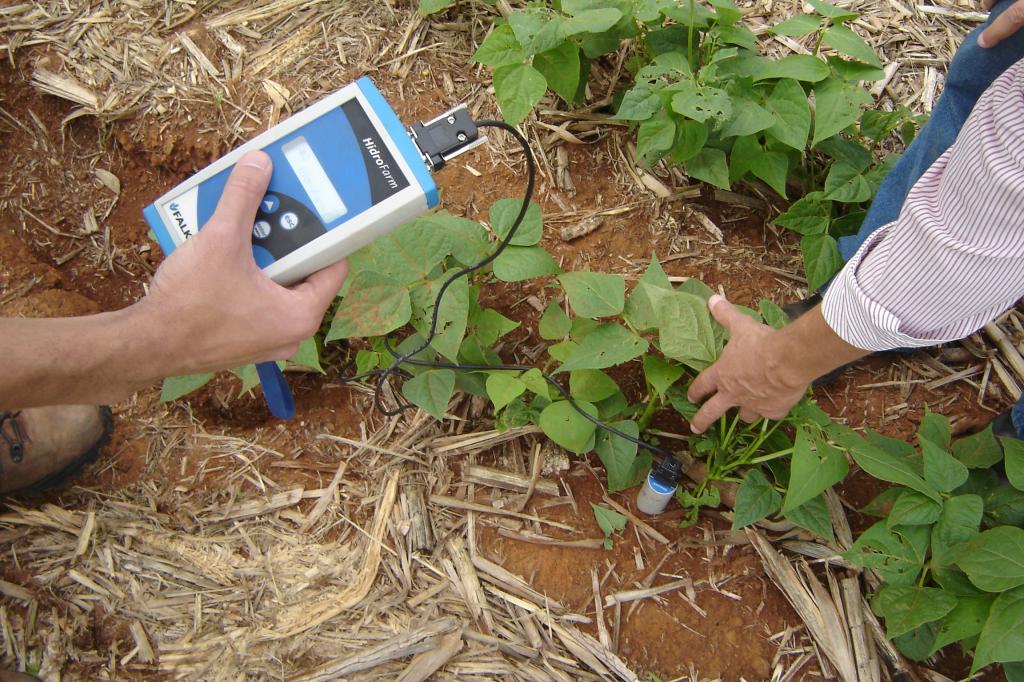 ​Controle da irrigação reduz custos e aumenta produtividade