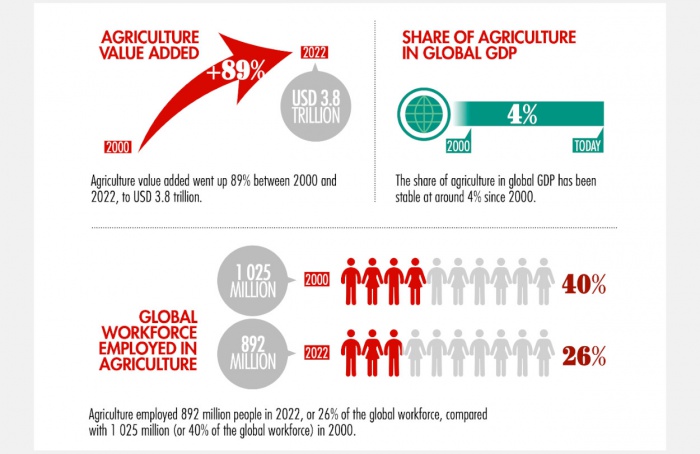 Agricultura global cresce 89% em valor agregado entre 2000 e 2022