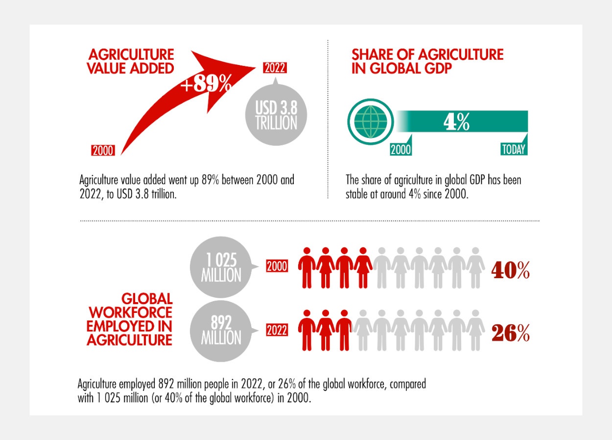 Agricultura global cresce 89% em valor agregado entre 2000 e 2022