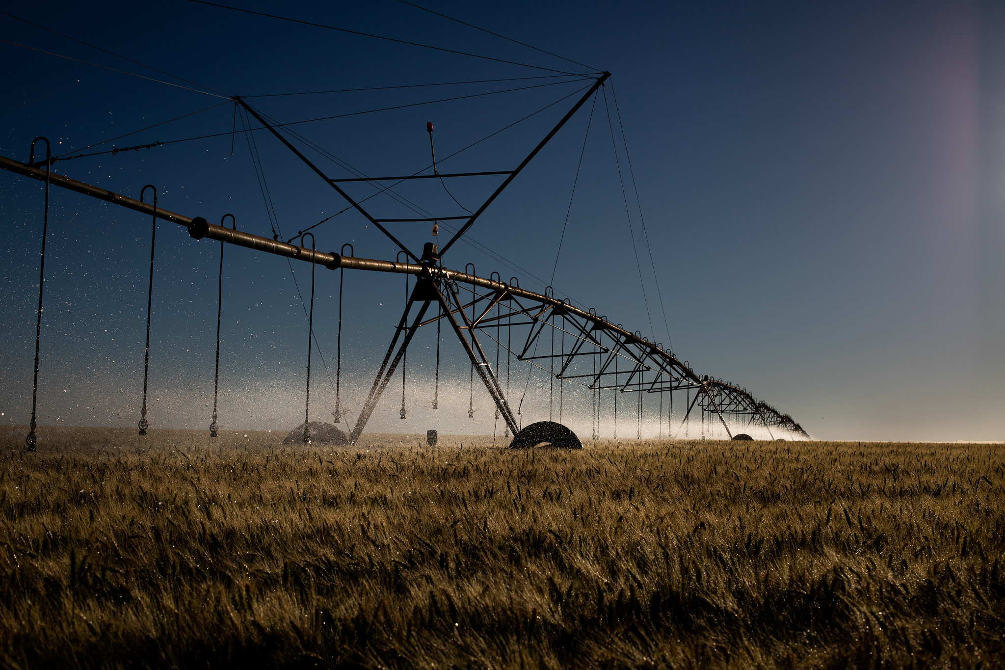Areas of irrigated crops grow 3,8 times in 37 years