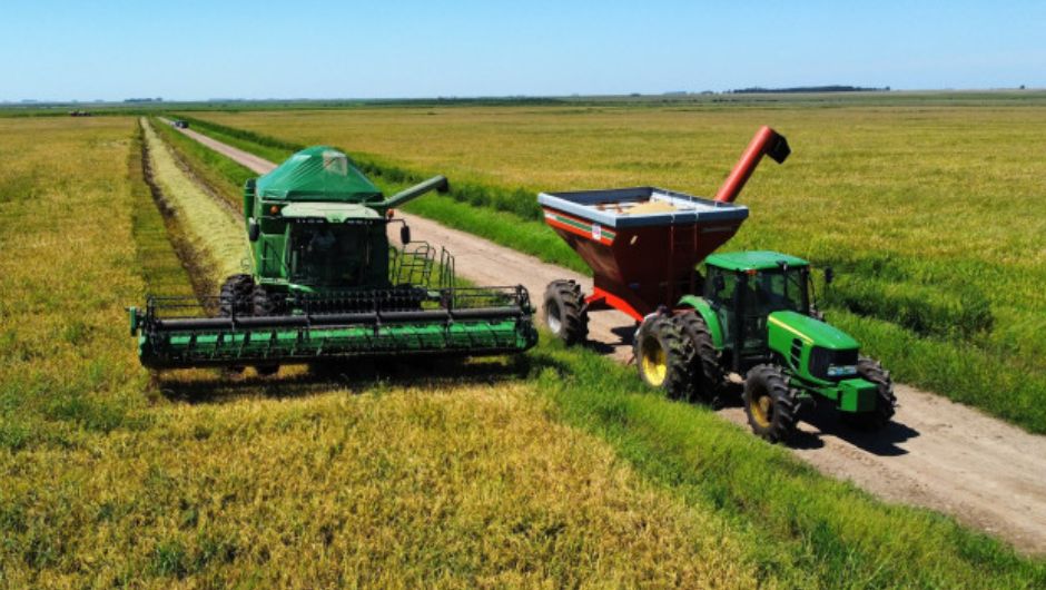 Foto: Cleiton Ramão