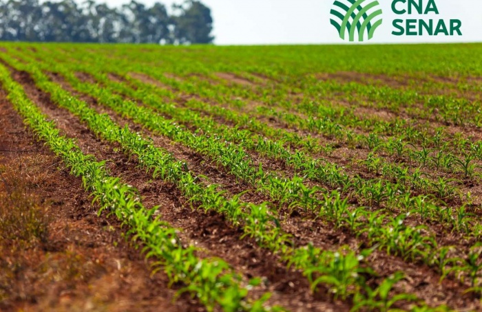 Missão promove o agro brasileiro na Europa