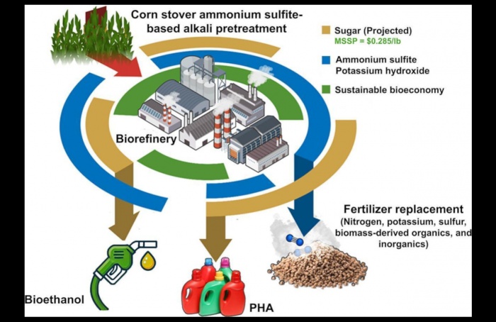 Novo método transforma palha de milho em açúcar e fertilizante com menor custo
