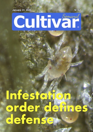 Cultivar Semanal (wöchentlich) 64