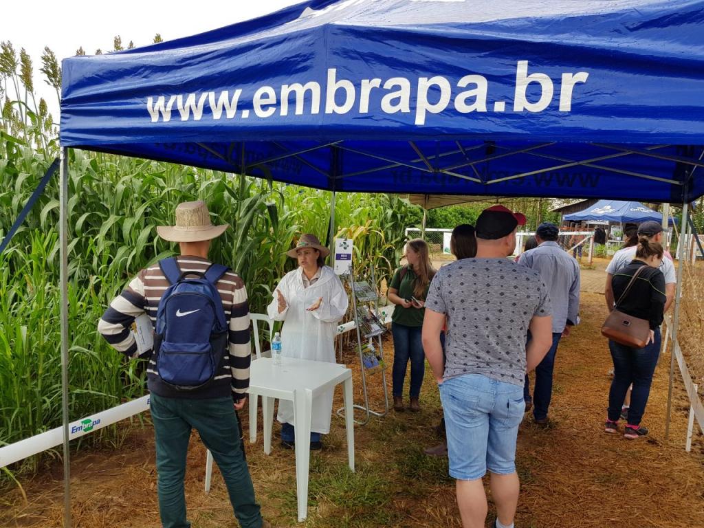 Conservação do Solo é o tema da 18ª edição da Expoagro Afubra