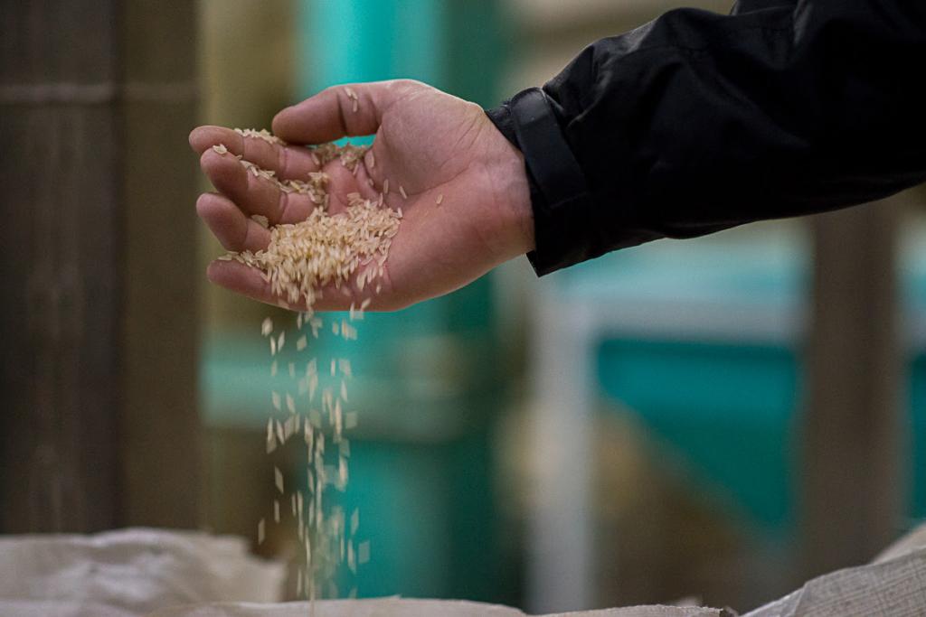 ​Comitiva de importadores de arroz chega ao país