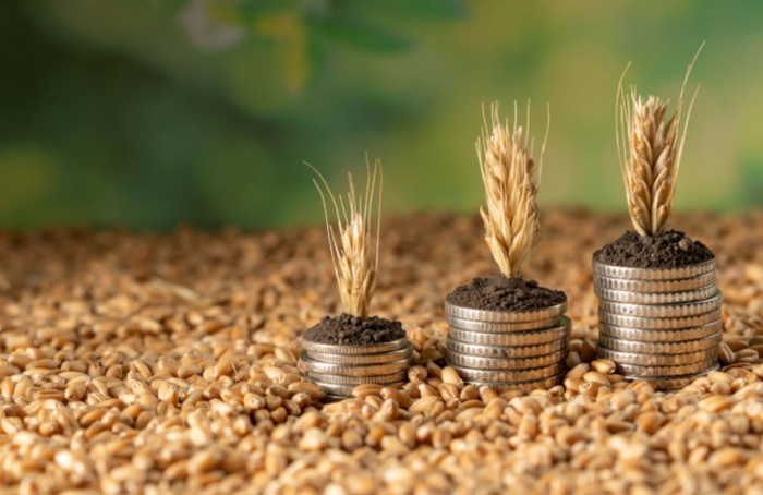 Estoque de CPR cresce 13% e chega a R$ 565 bilhões