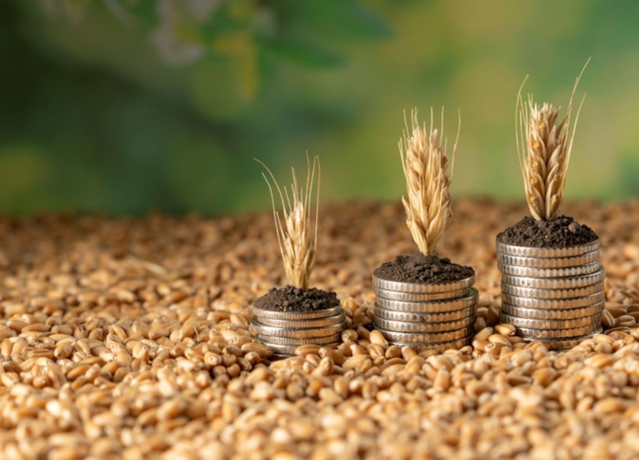 Instrumento amplia relevância no financiamento privado do agronegócio em maio de 2026