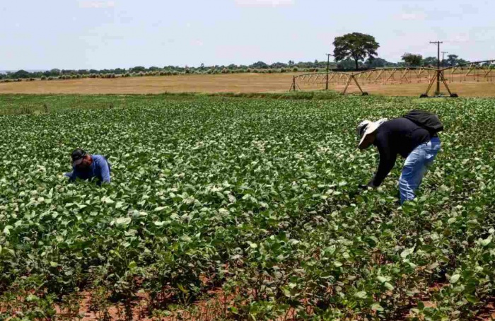 Agro paulista fecha 2025 com superávit de US$ 23 bilhões