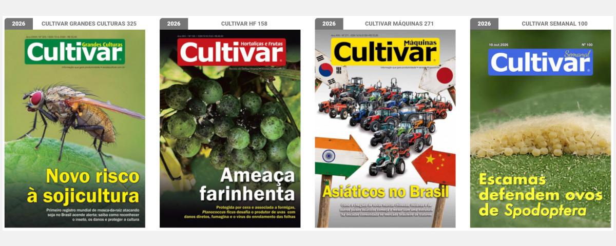 Capas - 2025