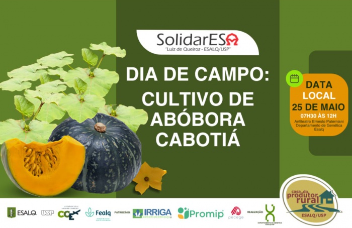Dia de Campo sobre Cultivo de Abóbora Cabotiá acontece no dia 25 de maio