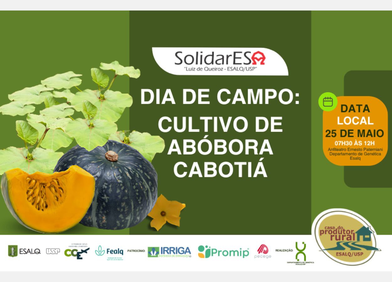 Dia de Campo sobre Cultivo de Abóbora Cabotiá acontece no dia 25 de maio