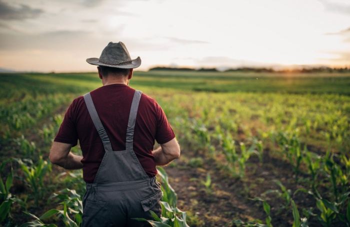 Recuperação judicial no agro cresce no 1º trimestre de 2025