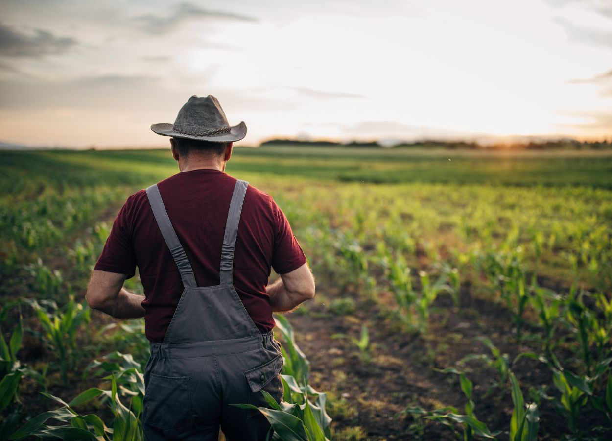 Produtores rurais que atuam como pessoa física registraram maior número de solicitações