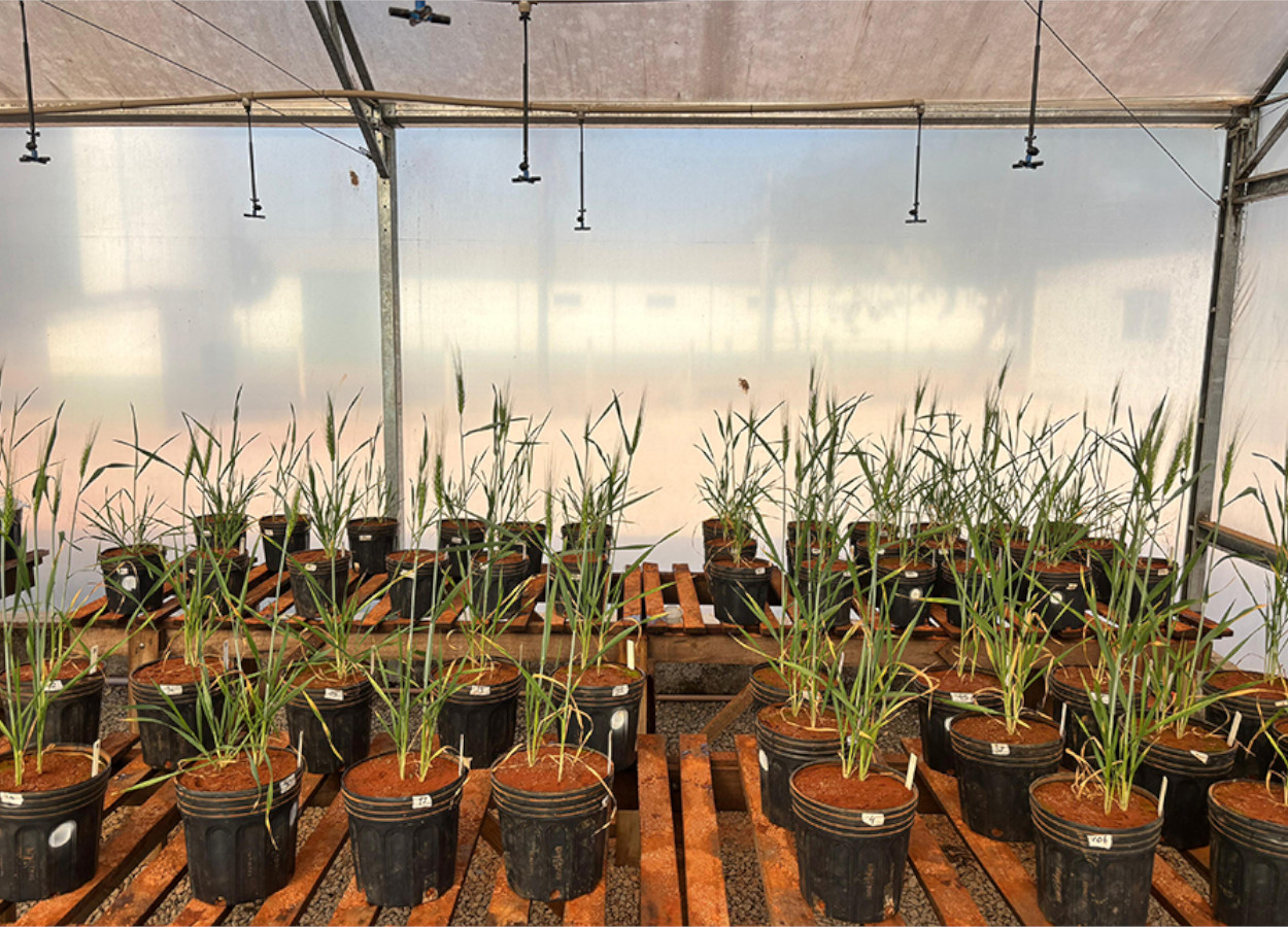 Foto:&nbsp;Agnaldo Chaves