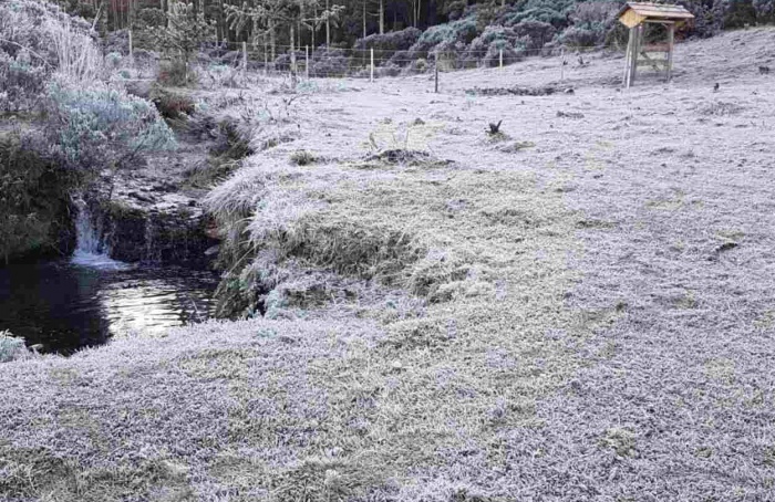 RS terá inverno típico, com frio, geadas e chuvas