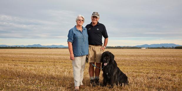 ​Produtores rurais de Ashburton, na Nova Zelândia, batem recorde Guinness de produção de trigo