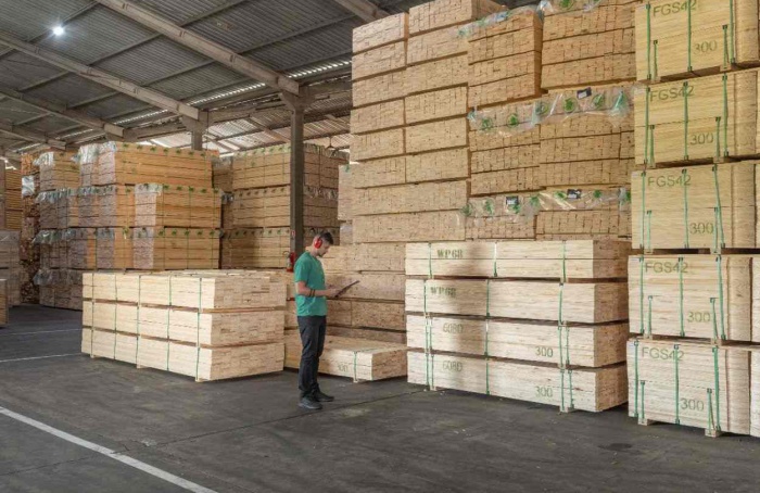 Tarifaço impacta exportações do setor florestal paranaense