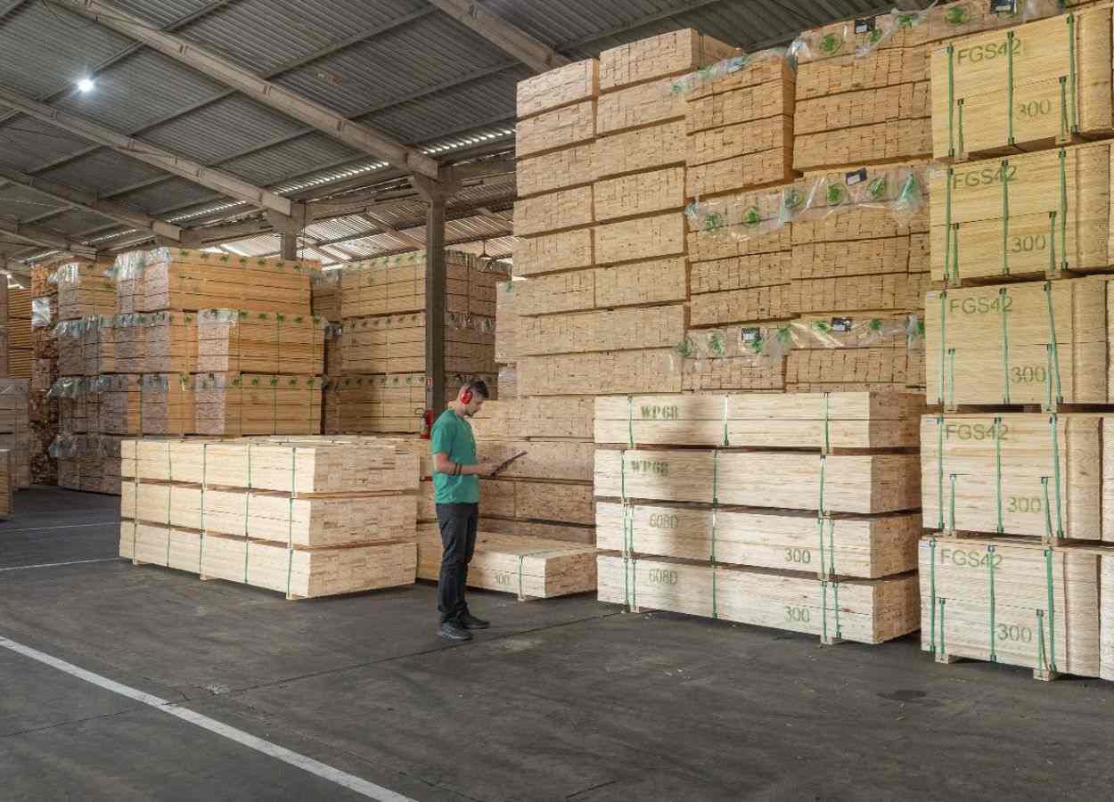 Tarifaço impacta exportações do setor florestal paranaense