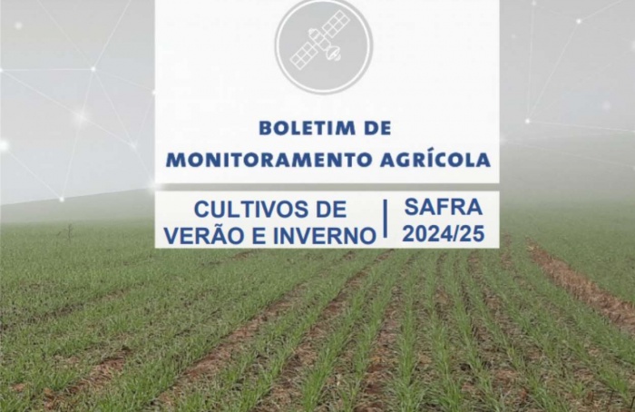 Conab aponta clima favorável às lavouras em agosto