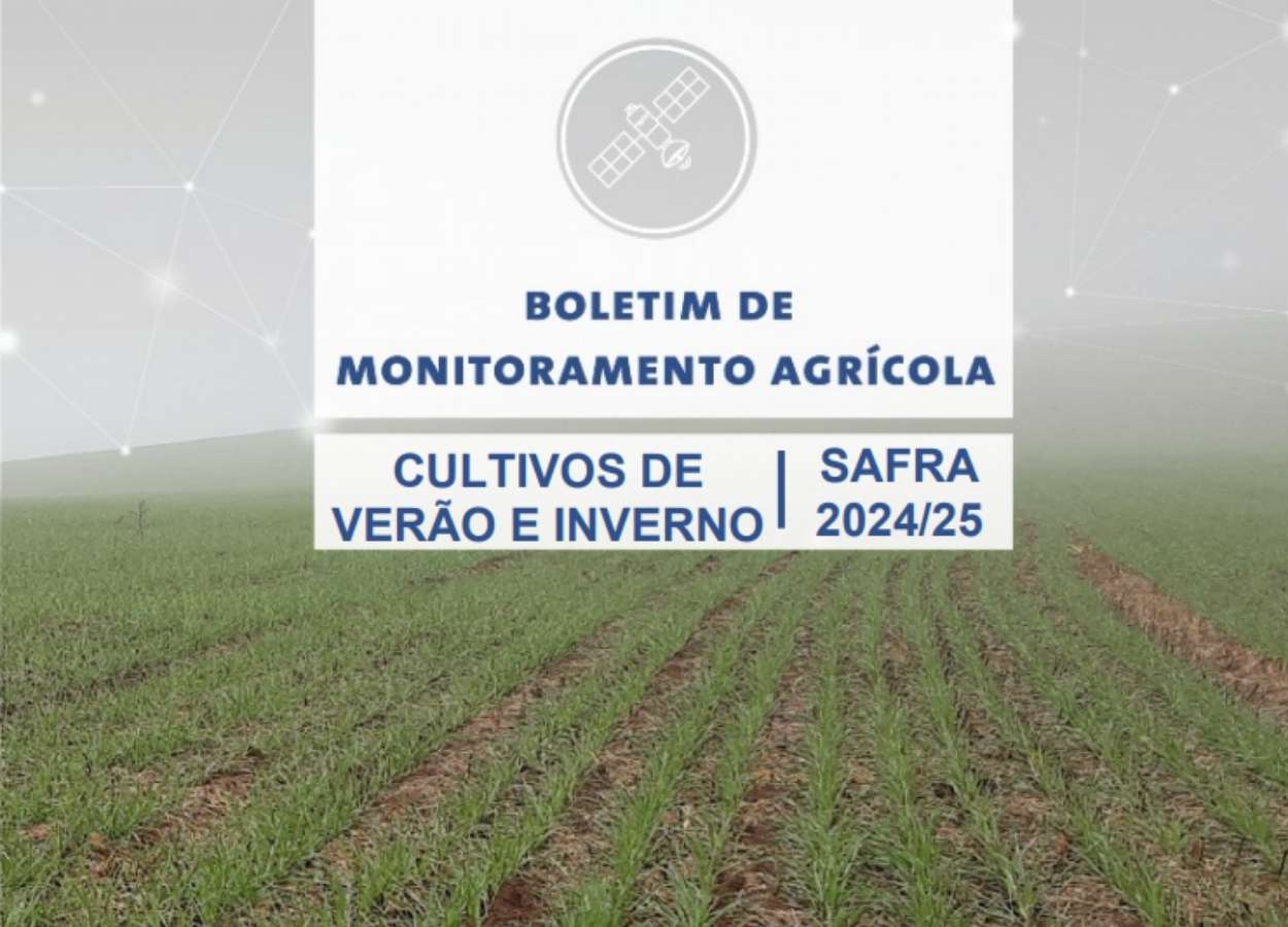 Conab aponta clima favorável às lavouras em agosto