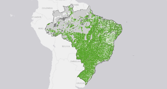 Plataforma digital apresenta dados sobre implementação do Código Florestal no Brasil