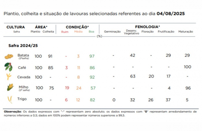 PR Safra 2024/25: colheita do milho avança e se aproxima do fim