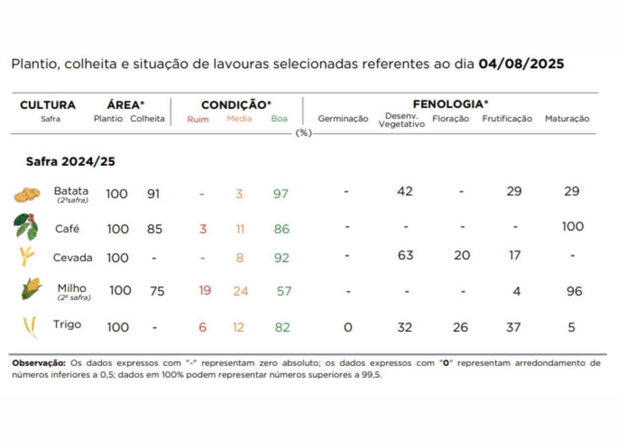 PR Safra 2024/25: colheita do milho avança e se aproxima do fim