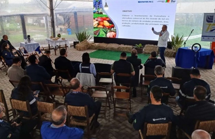 Uva e batata puxam produção de frutas e hortaliças no RS