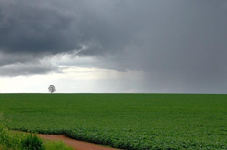 Com La Niña mais fraca, prevê-se chuvas contínuas no sudeste e centro-oeste