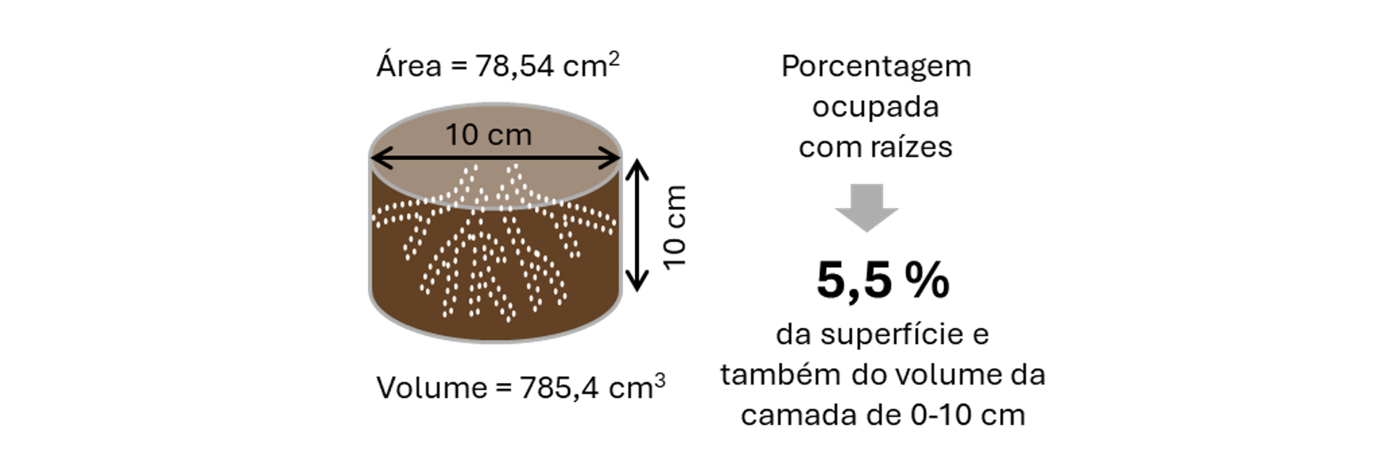 Figura 4. Estimativa da porcentagem da área superficial da lavoura e do volume de solo até 10 cm de profundidade ocupados pela porção da rizosfera de milho contida na camada de 0-10 cm. Considerou-se uma população de 70 mil plantas por hectare e uma área circular com 10 cm de diâmetro ocupada pelas raízes adventícias de cada planta
