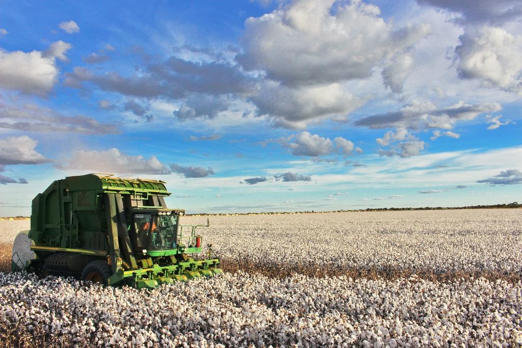 ​Abapa critica tentativa de desmoralizar segmento do agronegócio ao evidenciarem crescimento da dívida do ITR entre agricultores