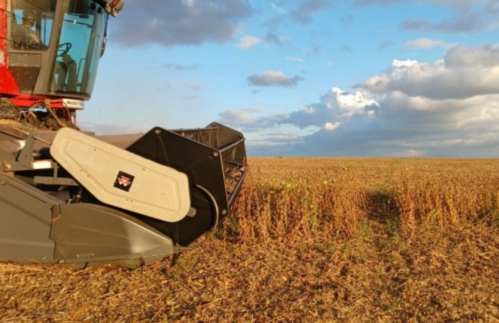 RS Safra 2025/26: clima seco favorece colheitas
