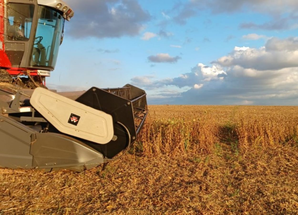 RS Safra 2025/26: clima seco favorece colheitas