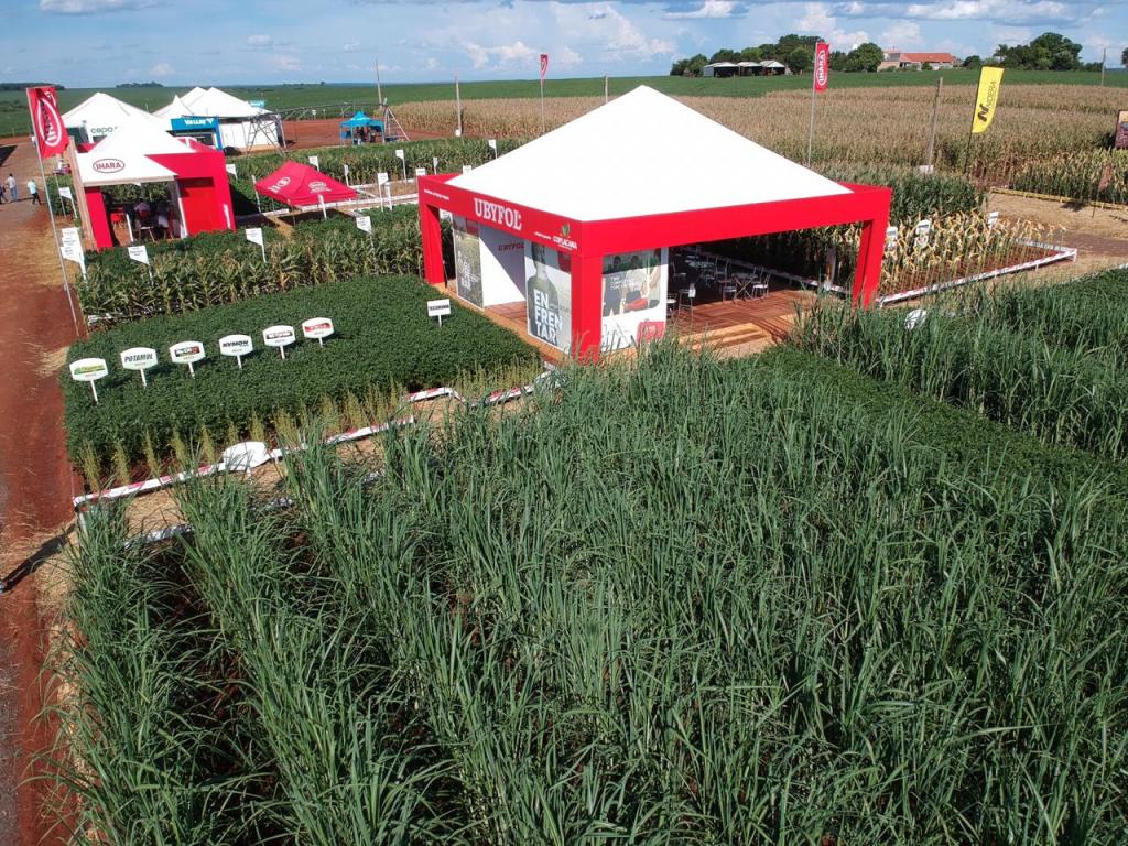 Benefícios de fertilizante foliar na cultura da cana são apresentados em evento