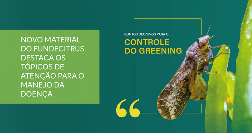 “Pontos decisivos para o controle do greening”: novo material reúne tópicos de atenção para o manejo da doença