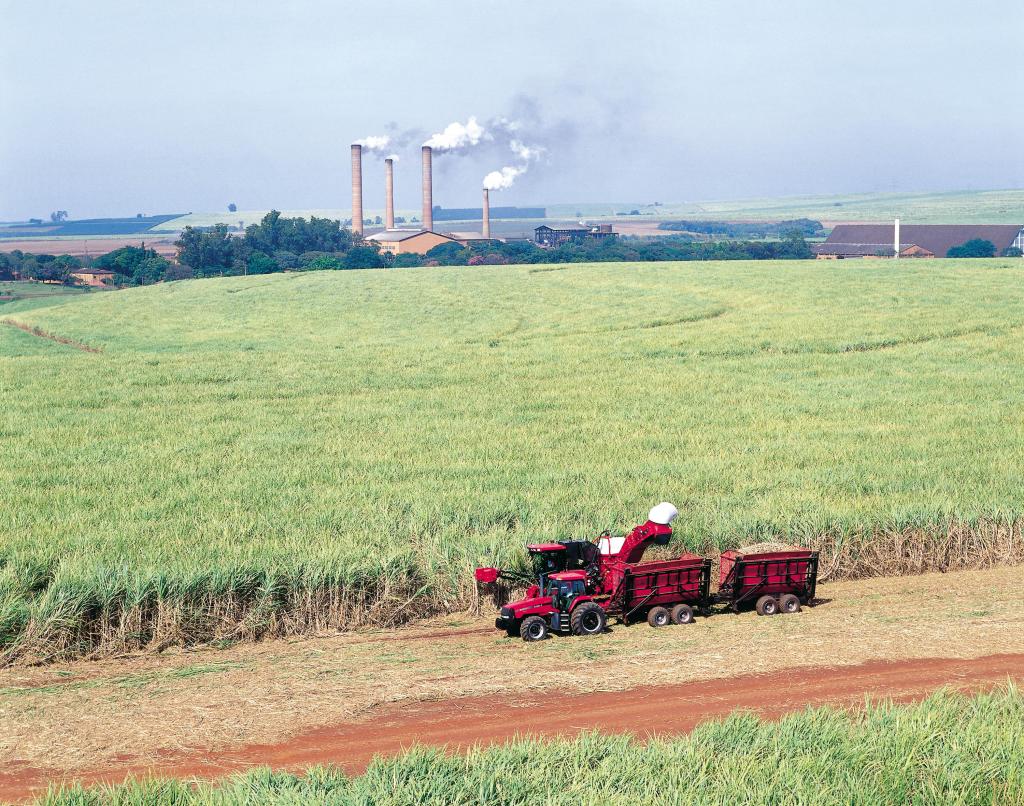 Safra de cana estimada em 635 milhões de toneladas terá produção de 30 bilhões de litros de etanol