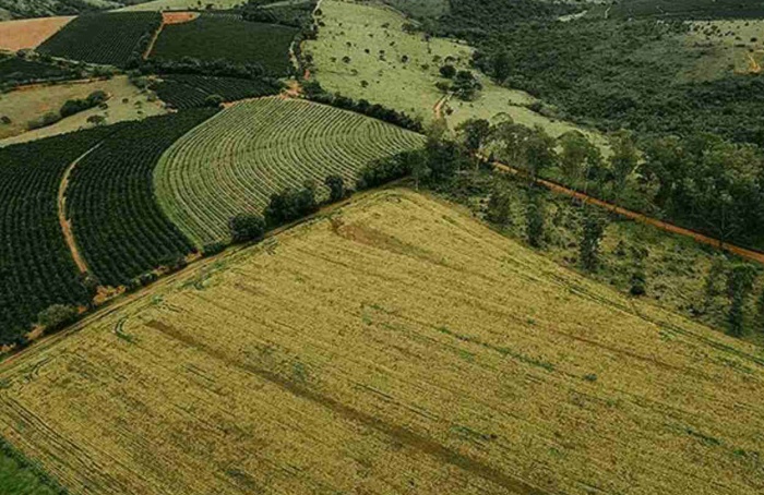 Mato Grosso lidera avanço da soja na safra 2025/26