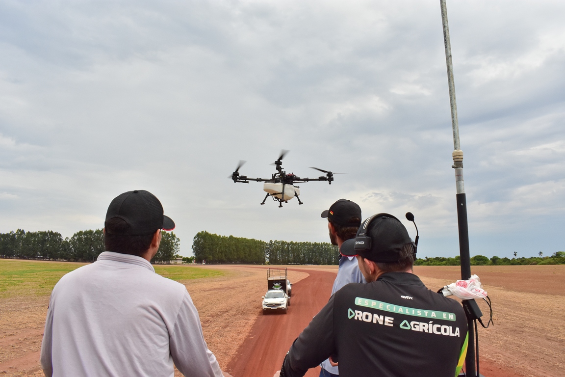 Duas estruturas centralizadoras do trabalho foram disponibilizadas, uma como principal e outra de backup, que seria utilizada somente quando necessário e, principalmente, nas últimas áreas