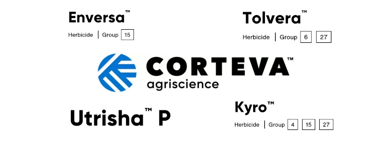 Corteva anuncia novos produtos nos EUA