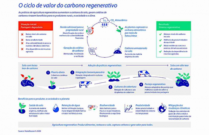 Brasil avança em projetos de carbono no solo
