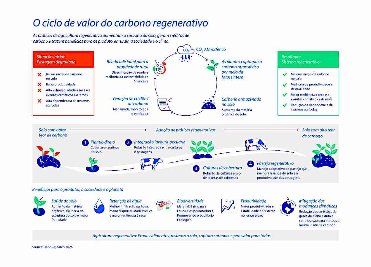 Brasil avança em projetos de carbono no solo