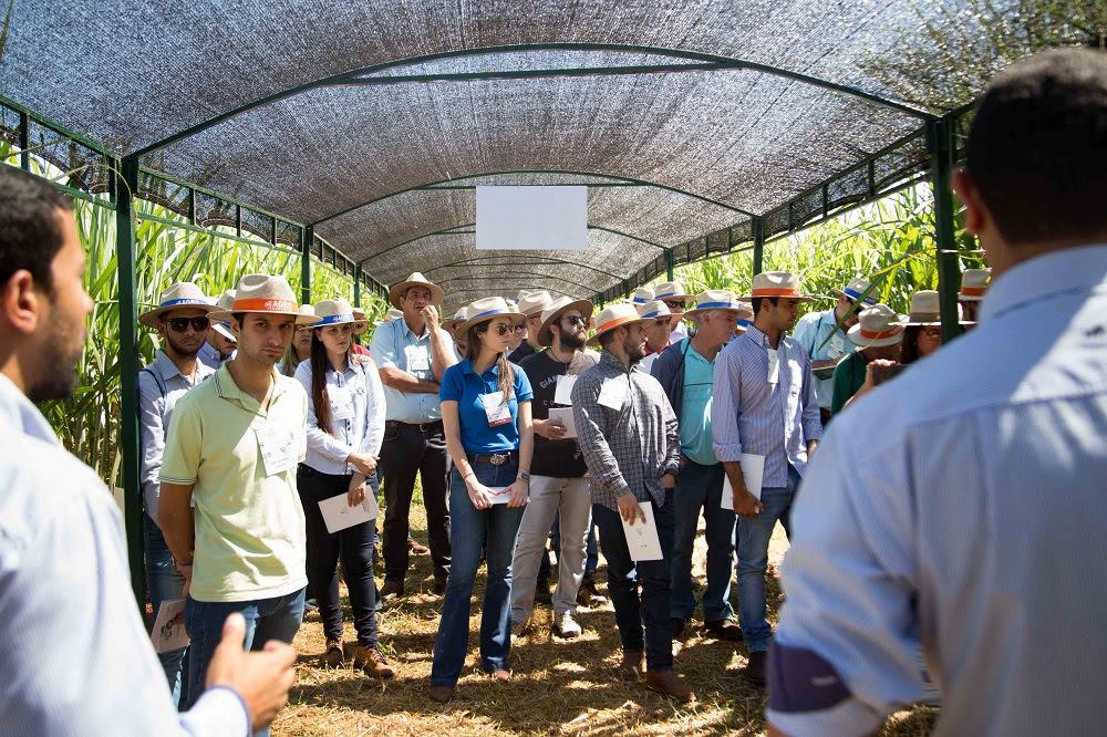 Agrocana Roadshow destaca ações para aumentar rentabilidade na produção de cana