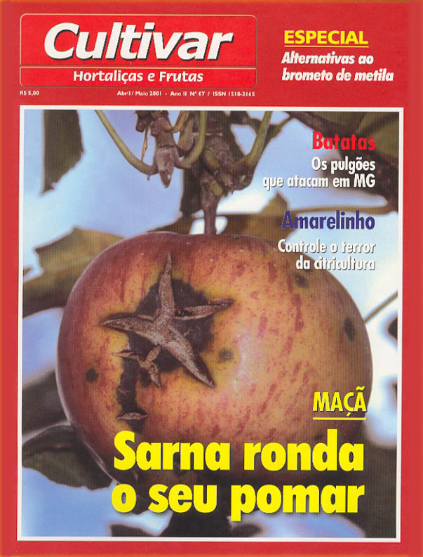 Sarna ronda o seu pomar