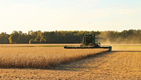 Valor Bruto da Produção alcança novo recorde e deve crescer 12,4% em 2020