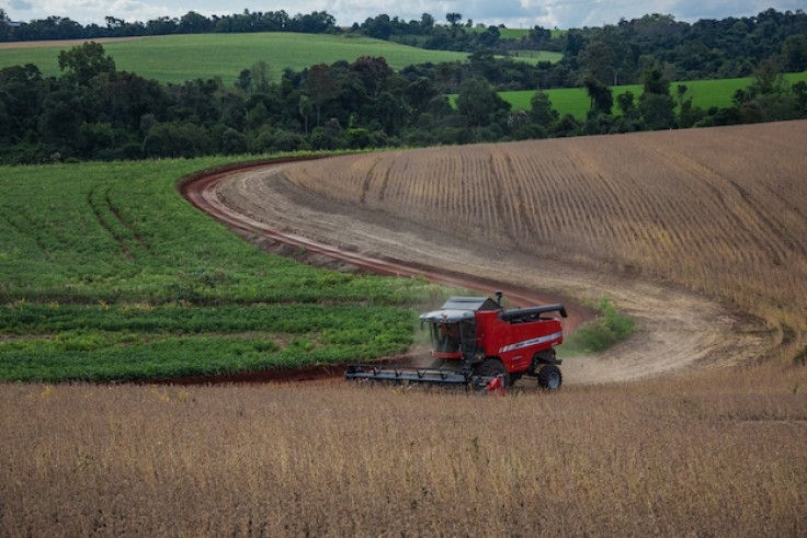 Produtividade de 6,4% impulsiona safra de 209 mi de toneladas de grãos